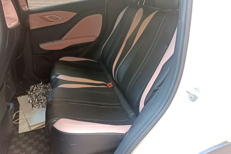 Used BYD Seagull 2024 Honor Edition 305km Freedom Version Left Rear Seat
