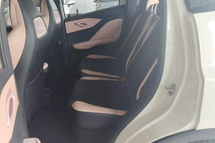 Used BYD Seagull 2024 Honor Edition 305km Dynamic Version Left Rear Seat