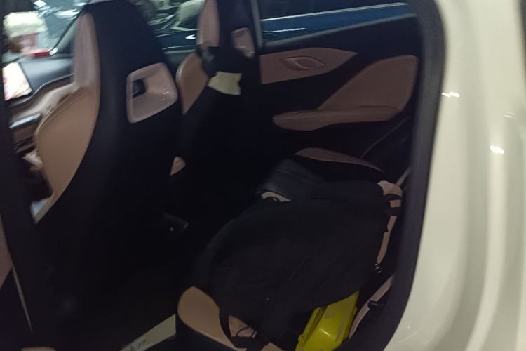 Used BYD Seagull 2024 Honor Edition 305km Freedom Version Left Rear Seat