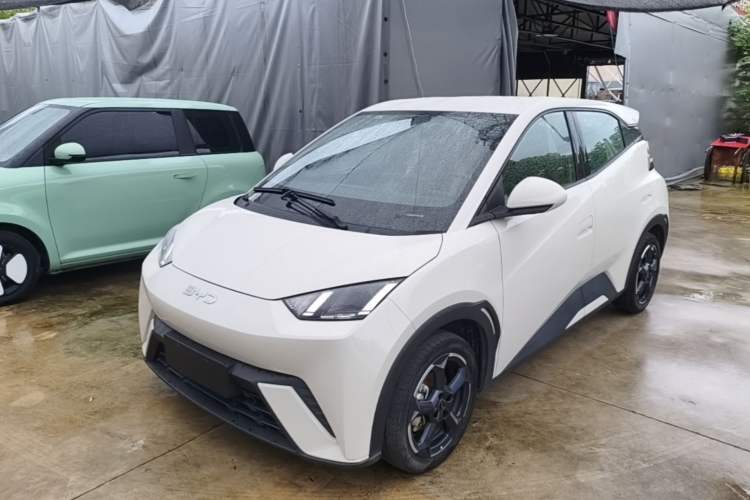 BYD Seagull 2024 Honor Edition 405km Flying Version
