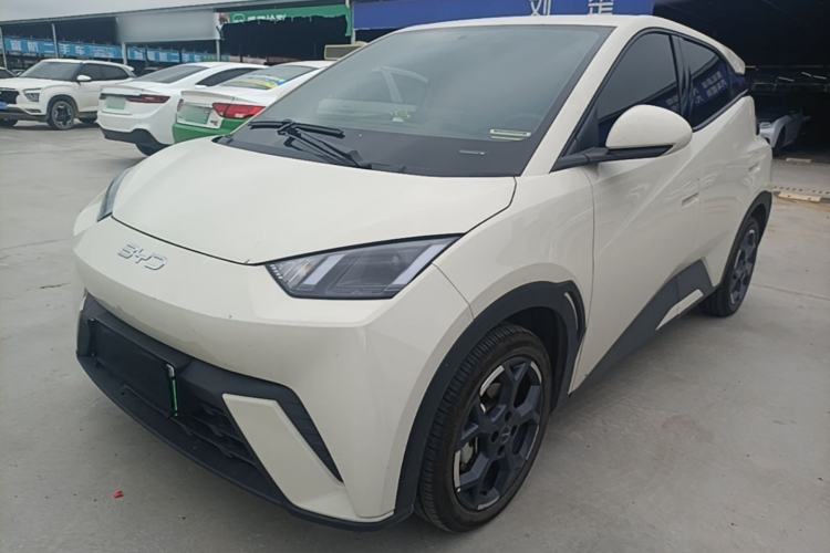 BYD Seagull 2024 Honor Edition 305km Freedom Version