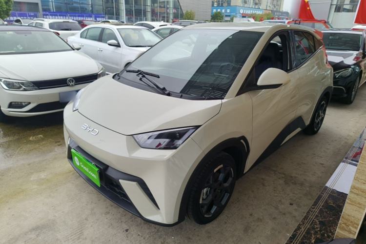 BYD Seagull 2024 Honor Edition 305km Freedom Version