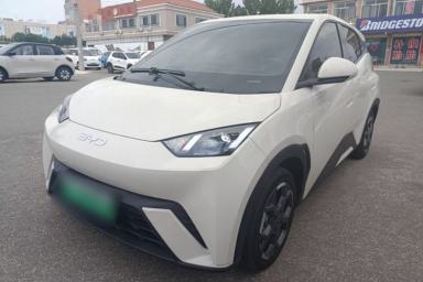 Used BYD Seagull 2024 Honor Edition 305km Freedom Version