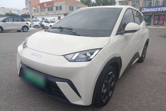 Used BYD Seagull 2024 Honor Edition 305km Freedom Version
