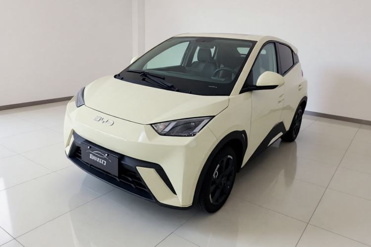 BYD Seagull 2024 Honor Edition 305km Freedom Version