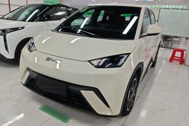 Used BYD Seagull 2024 Honor Edition 405km Flying Version