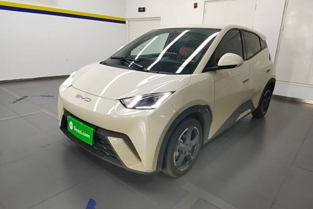 Used BYD Seagull 2024 Honor Edition 305km Freedom Version