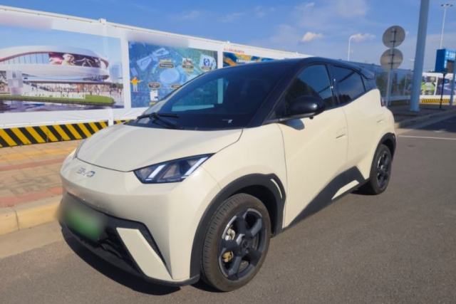 Used BYD Seagull 2024 Honor Edition 305km Freedom Version