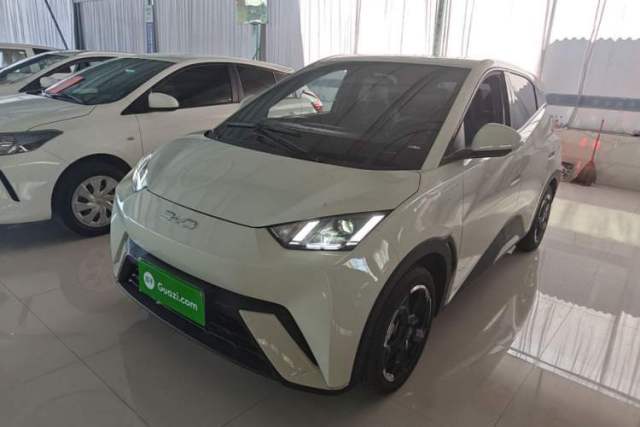 Used BYD Seagull 2024 Honor Edition 305km Freedom Version