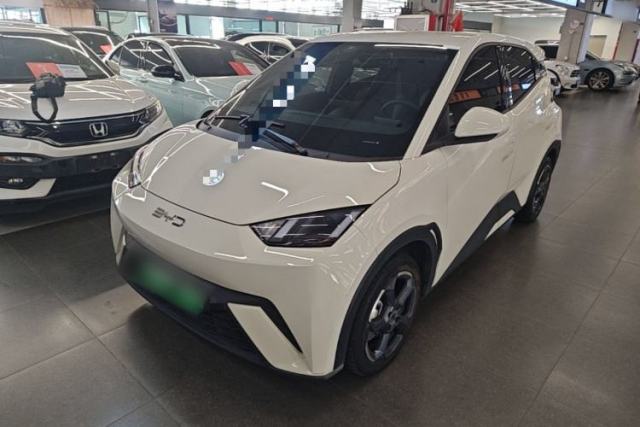 Used BYD Seagull 2024 Honor Edition 305km Freedom Version