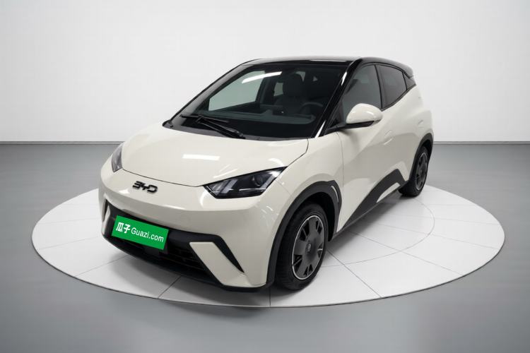 BYD Seagull 2024 Honor Edition 305km Freedom Version