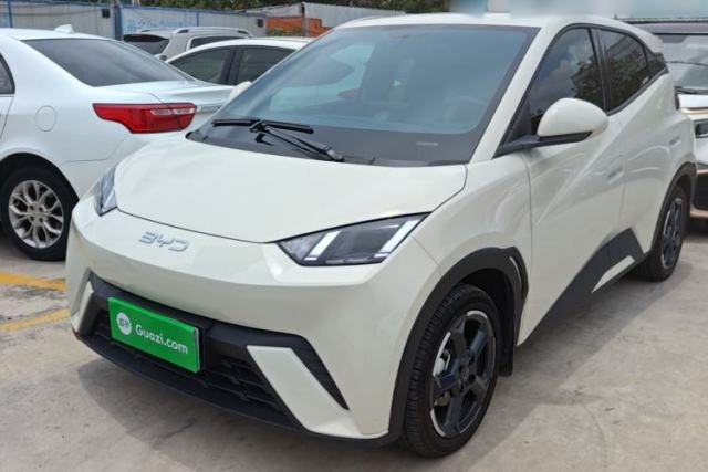 Used BYD Seagull 2024 Honor Edition 305km Freedom Version