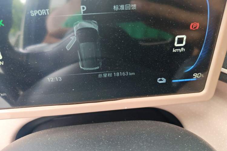Used BYD Seagull 2024 Honor Edition 305km Freedom Version Odometer Close Up