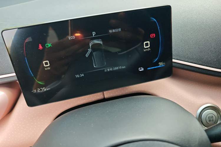 Used BYD Seagull 2024 Honor Edition 305km Freedom Version Odometer Close Up