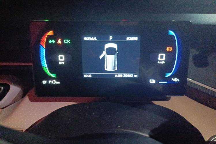 Used BYD Seagull 2024 Honor Edition 305km Dynamic Version Odometer Close Up