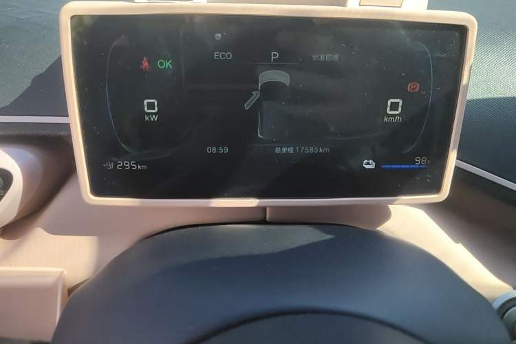Used BYD Seagull 2024 Honor Edition 305km Freedom Version Odometer Close Up