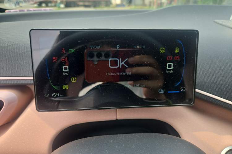 Used BYD Seagull 2024 Honor Edition 305km Freedom Version Odometer Close Up