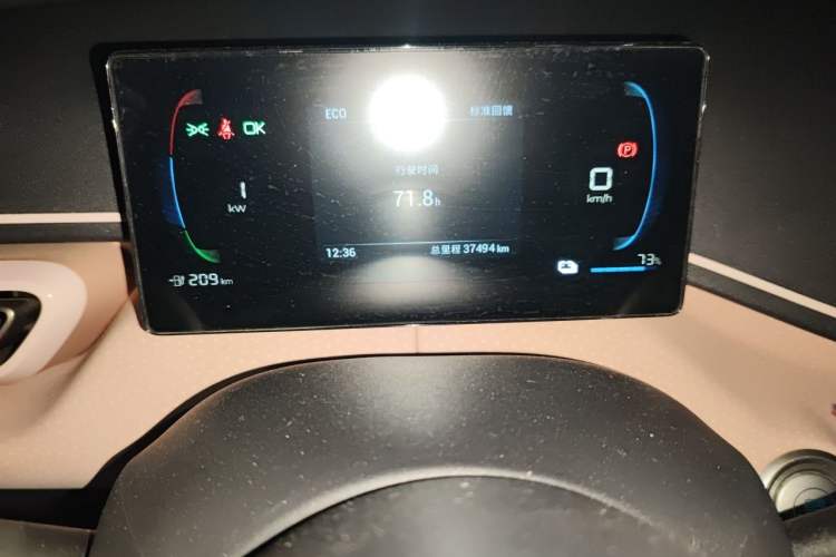 Used BYD Seagull 2024 Honor Edition 305km Freedom Version Odometer Close Up