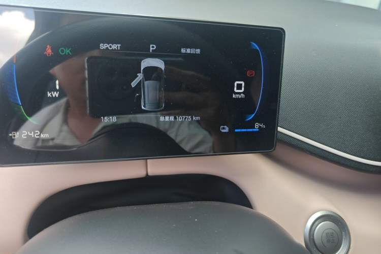 Used BYD Seagull 2024 Honor Edition 305km Dynamic Version Odometer Close Up