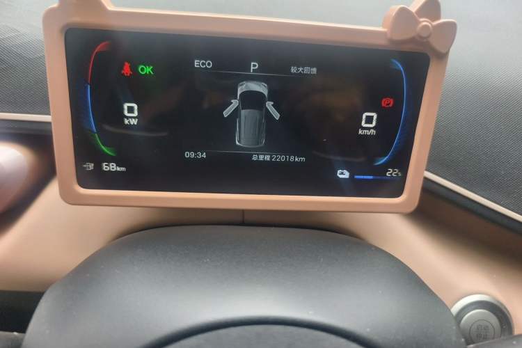 Used BYD Seagull 2024 Honor Edition 305km Dynamic Version Odometer Close Up
