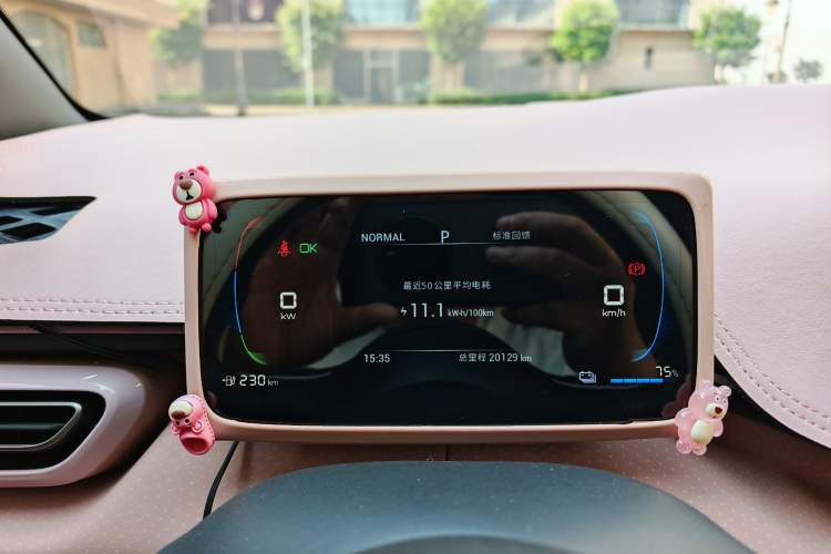 Used BYD Seagull 2024 Honor Edition 305km Dynamic Version Odometer Close Up
