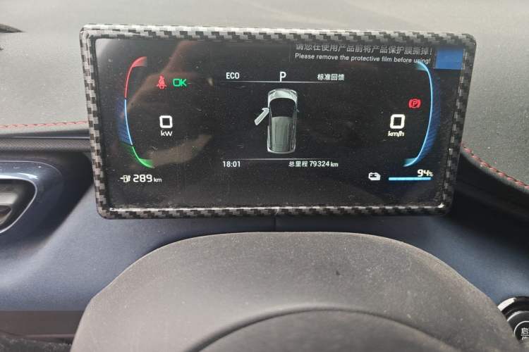 Used BYD Seagull 2024 Honor Edition 305km Dynamic Version Odometer Close Up