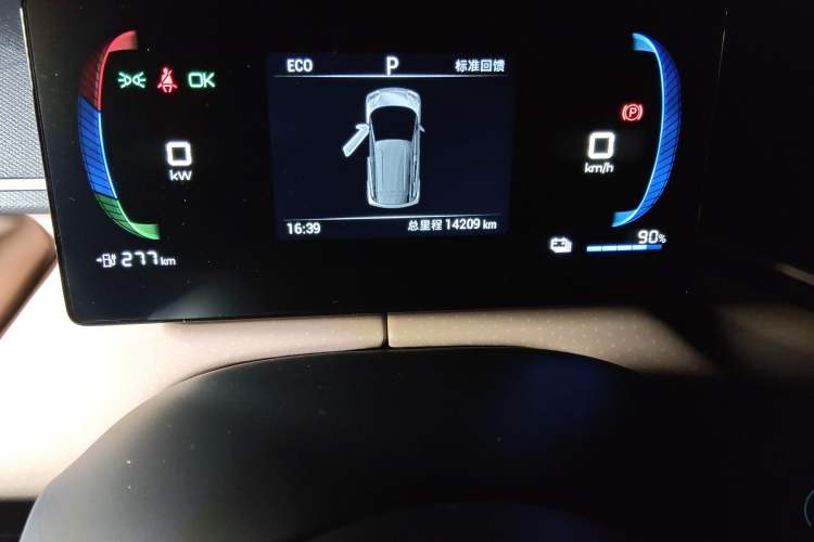 Used BYD Seagull 2024 Honor Edition 305km Dynamic Version Odometer Close Up