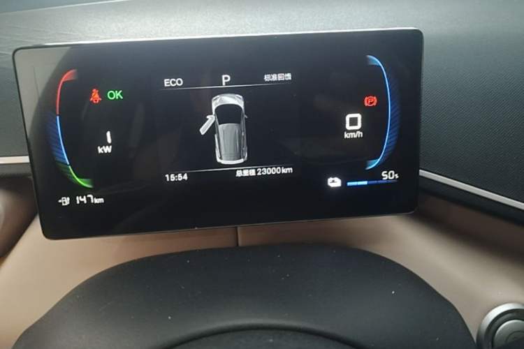 Used BYD Seagull 2024 Honor Edition 305km Dynamic Version Odometer Close Up