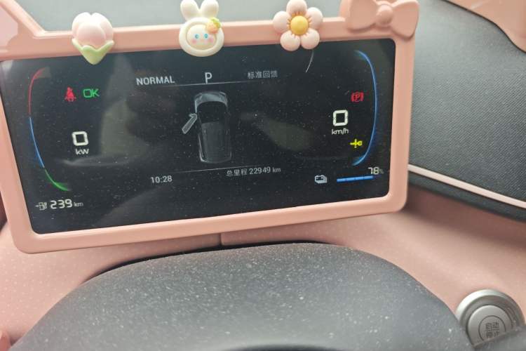 Used BYD Seagull 2024 Honor Edition 305km Dynamic Version Odometer Close Up