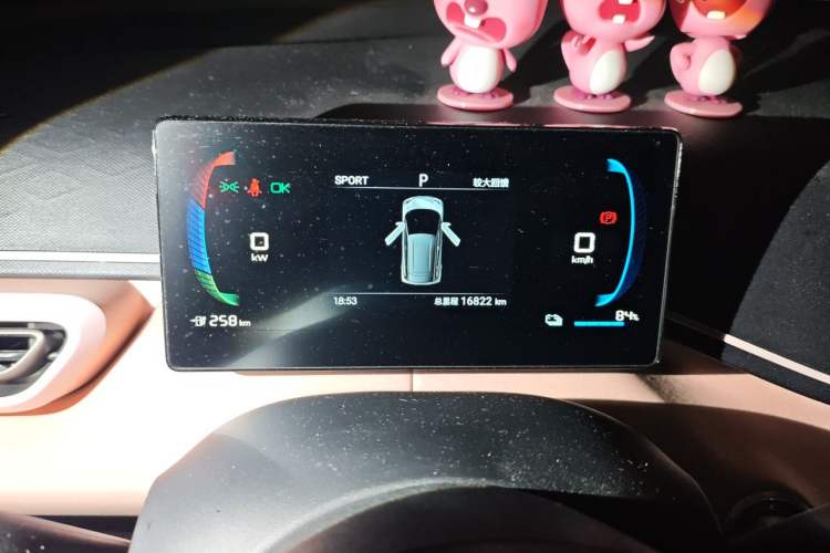 Used BYD Seagull 2024 Honor Edition 305km Freedom Version Odometer Close Up