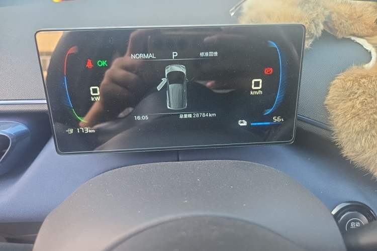 Used BYD Seagull 2024 Honor Edition 305km Freedom Version Odometer Close Up
