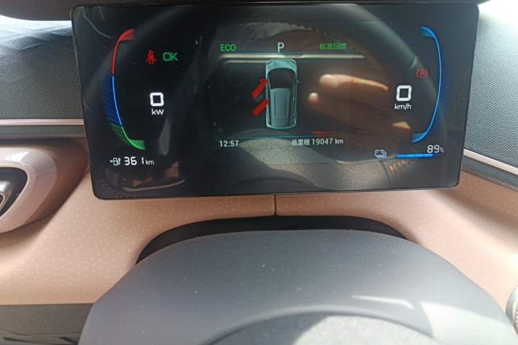 Used BYD Seagull 2024 Honor Edition 405km Flying Version Odometer Close Up