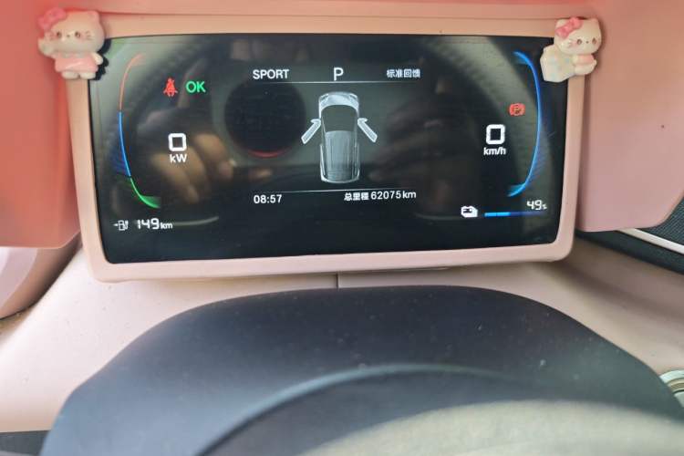 Used BYD Seagull 2024 Honor Edition 305km Dynamic Version Odometer Close Up