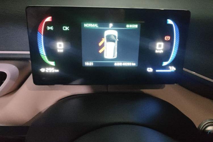 Used BYD Seagull 2024 Honor Edition 405km Flying Version Odometer Close Up