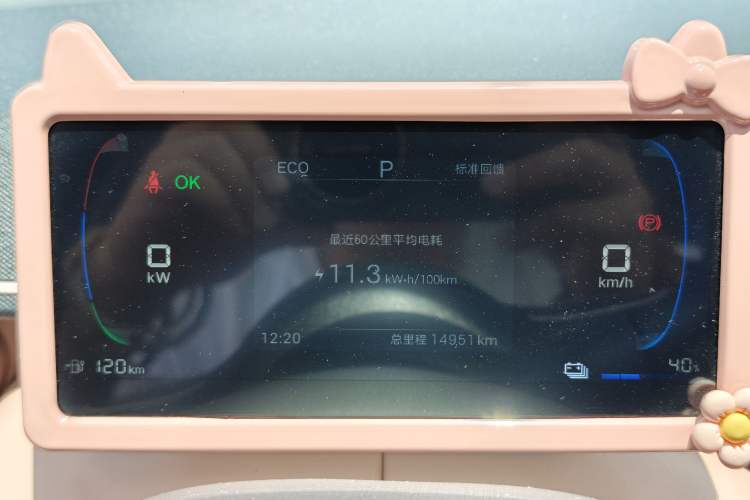 Used BYD Seagull 2024 Honor Edition 305km Freedom Version Odometer Close Up