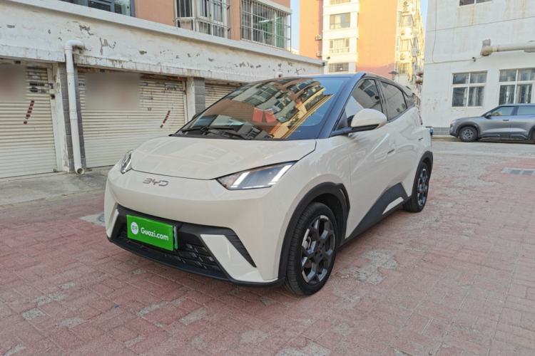 BYD Seagull 2024 Honor Edition 305km Freedom Version