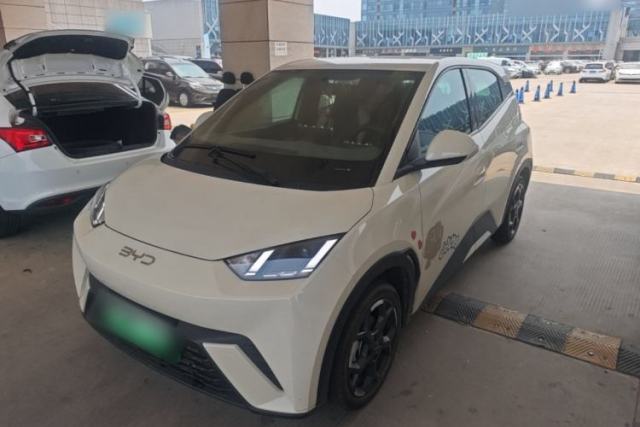 Used BYD Seagull 2024 Honor Edition 305km Freedom Version