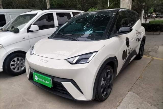 Used BYD Seagull 2024 Honor Edition 305km Freedom Version