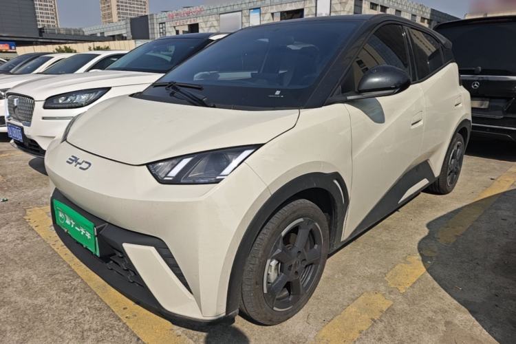 BYD Seagull 2024 Honor Edition 305km Freedom Version