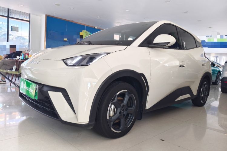 BYD Seagull 2024 Honor Edition 305km Freedom Version