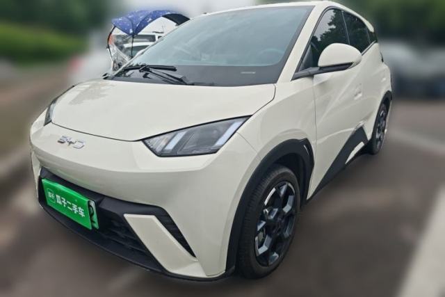 Used BYD Seagull 2024 Honor Edition 305km Freedom Version