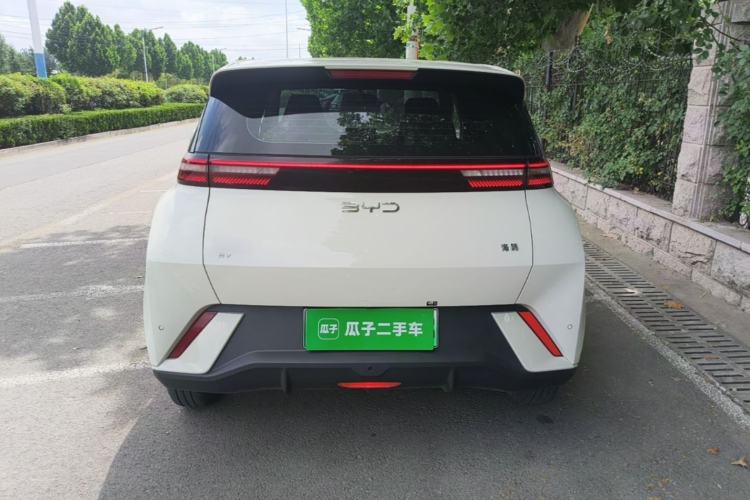 Used BYD Seagull 2024 Honor Edition 305km Dynamic Version Rear
