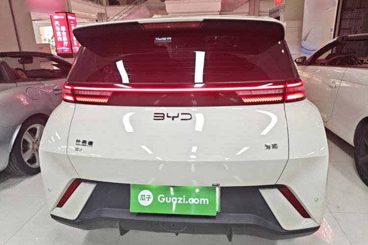 Used BYD Seagull 2024 Honor Edition 305km Dynamic Version Rear