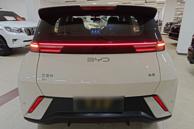 Used BYD Seagull 2024 Honor Edition 305km Dynamic Version Rear
