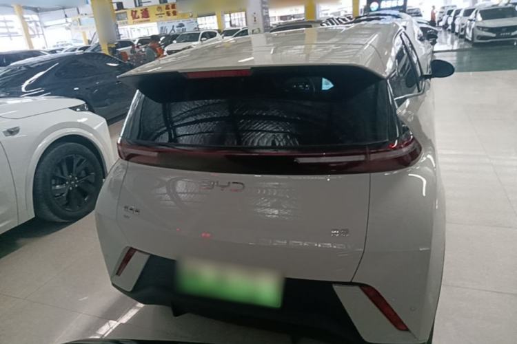 Used BYD Seagull 2024 Honor Edition 305km Dynamic Version Rear