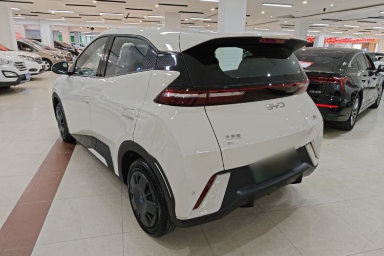 Used BYD Seagull 2024 Honor Edition 305km Dynamic Version Rear Left 45 Deg