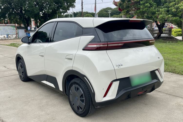 Used BYD Seagull 2024 Honor Edition 305km Dynamic Version Rear Left 45 Deg