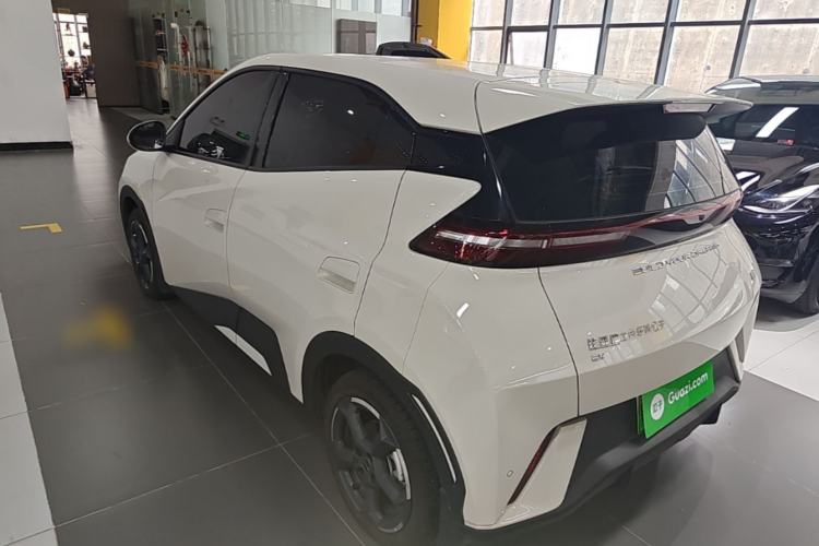 Used BYD Seagull 2024 Honor Edition 305km Freedom Version Rear Left 45 Deg