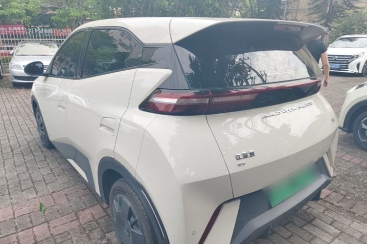 Used BYD Seagull 2024 Honor Edition 305km Dynamic Version Rear Left 45 Deg