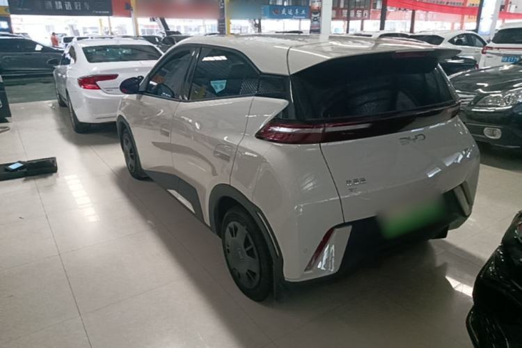 Used BYD Seagull 2024 Honor Edition 305km Dynamic Version Rear Left 45 Deg